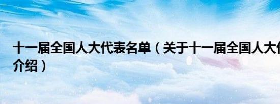 十一届全国人大代表名单（关于十一届全国人大代表名单的介绍）