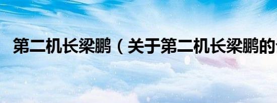 第二机长梁鹏（关于第二机长梁鹏的介绍）