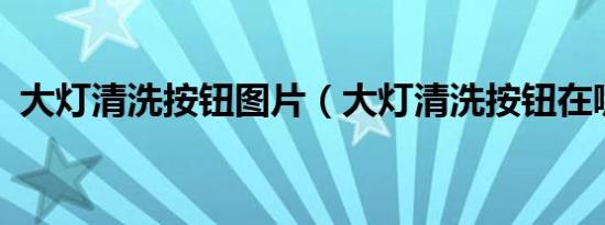 大灯清洗按钮图片（大灯清洗按钮在哪里?）