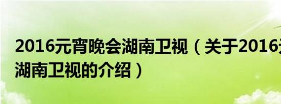 2016元宵晚会湖南卫视（关于2016元宵晚会湖南卫视的介绍）