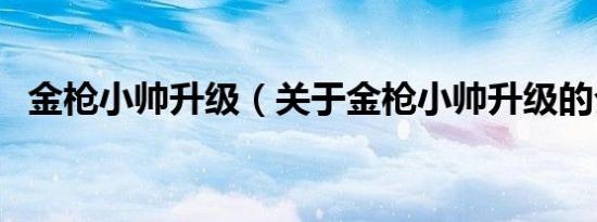 金枪小帅升级（关于金枪小帅升级的介绍）