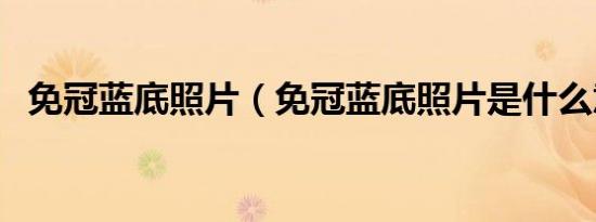 免冠蓝底照片（免冠蓝底照片是什么意思）