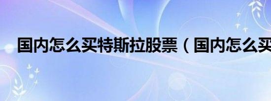 国内怎么买特斯拉股票（国内怎么买gtr）