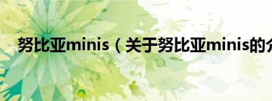 努比亚minis（关于努比亚minis的介绍）
