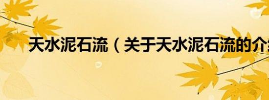 天水泥石流（关于天水泥石流的介绍）