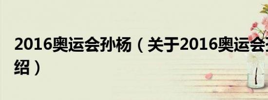 2016奥运会孙杨（关于2016奥运会孙杨的介绍）