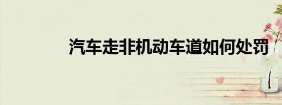 汽车走非机动车道如何处罚