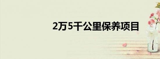 2万5千公里保养项目