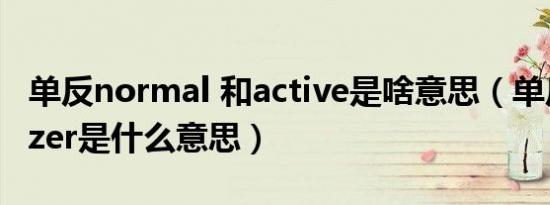 单反normal 和active是啥意思（单反stabilizer是什么意思）