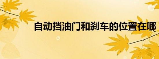 自动挡油门和刹车的位置在哪