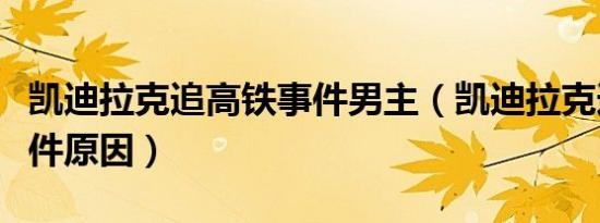 凯迪拉克追高铁事件男主（凯迪拉克追高铁事件原因）