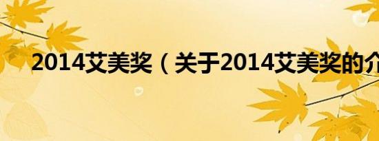2014艾美奖（关于2014艾美奖的介绍）