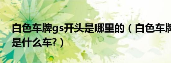 白色车牌gs开头是哪里的（白色车牌gs开头是什么车?）