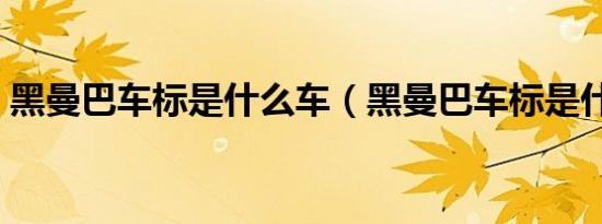 黑曼巴车标是什么车（黑曼巴车标是什么车）