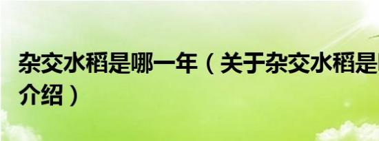 杂交水稻是哪一年（关于杂交水稻是哪一年的介绍）