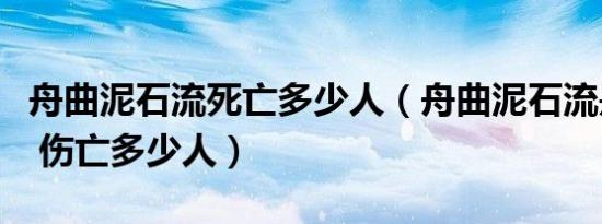 舟曲泥石流死亡多少人（舟曲泥石流是哪一年 伤亡多少人）