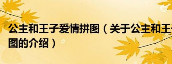 公主和王子爱情拼图（关于公主和王子爱情拼图的介绍）
