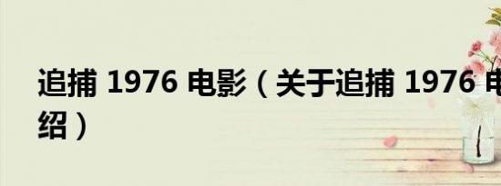 追捕 1976 电影（关于追捕 1976 电影的介绍）
