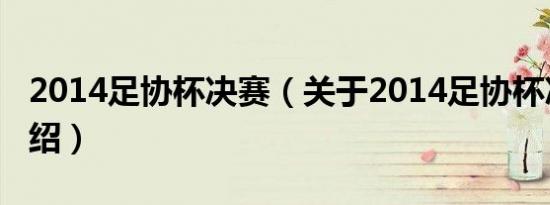 2014足协杯决赛（关于2014足协杯决赛的介绍）