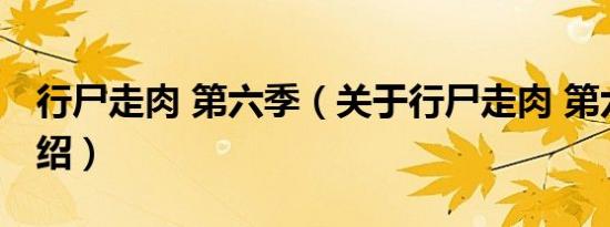 行尸走肉 第六季（关于行尸走肉 第六季的介绍）
