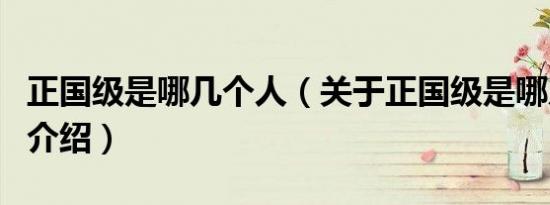 正国级是哪几个人（关于正国级是哪几个人的介绍）