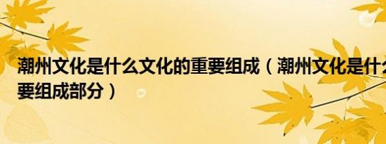 潮州文化是什么文化的重要组成（潮州文化是什么文化的重要组成部分）