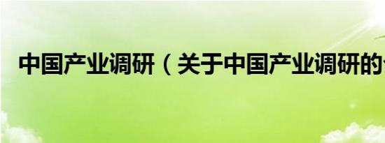 中国产业调研（关于中国产业调研的介绍）