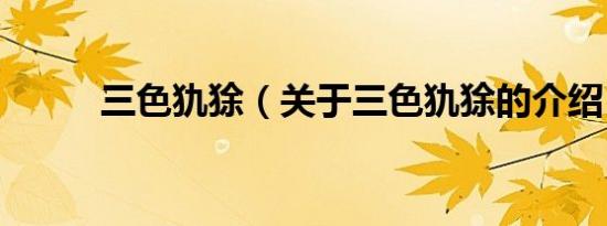 三色犰狳（关于三色犰狳的介绍）