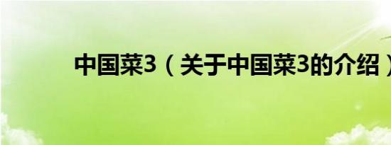 中国菜3（关于中国菜3的介绍）