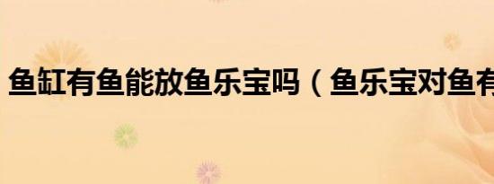 鱼缸有鱼能放鱼乐宝吗（鱼乐宝对鱼有害吗）