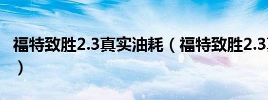 福特致胜2.3真实油耗（福特致胜2.3真实油耗）