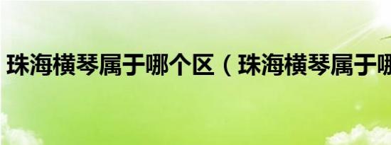 珠海横琴属于哪个区（珠海横琴属于哪个区）