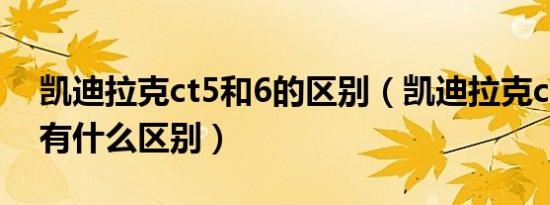 凯迪拉克ct5和6的区别（凯迪拉克ct6跟ct5有什么区别）