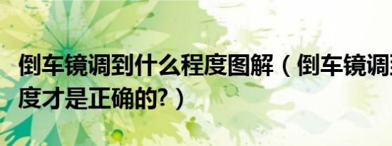 倒车镜调到什么程度图解（倒车镜调到什么程度才是正确的?）