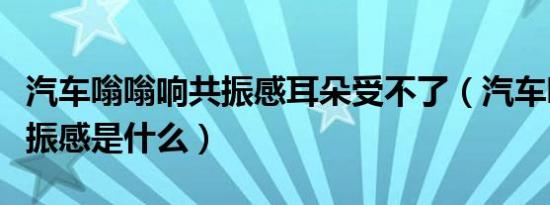 汽车嗡嗡响共振感耳朵受不了（汽车嗡嗡响共振感是什么）