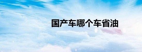 国产车哪个车省油