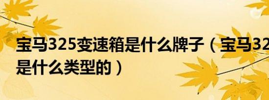 宝马325变速箱是什么牌子（宝马325变速箱是什么类型的）