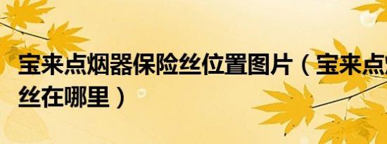 宝来点烟器保险丝位置图片（宝来点烟器保险丝在哪里）