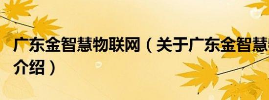 广东金智慧物联网（关于广东金智慧物联网的介绍）