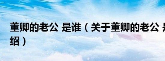 董卿的老公 是谁（关于董卿的老公 是谁的介绍）