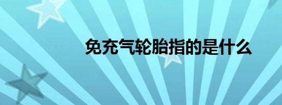 免充气轮胎指的是什么