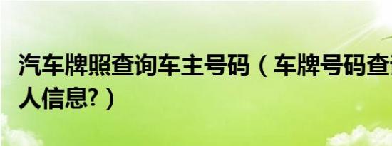 汽车牌照查询车主号码（车牌号码查询车主个人信息?）