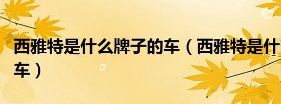 西雅特是什么牌子的车（西雅特是什么牌子的车）