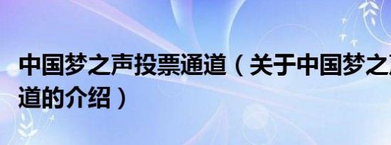 中国梦之声投票通道（关于中国梦之声投票通道的介绍）