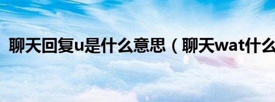 聊天回复u是什么意思（聊天wat什么意思）