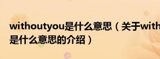 withoutyou是什么意思（关于withoutyou是什么意思的介绍）