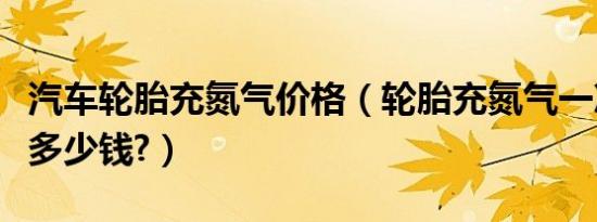 汽车轮胎充氮气价格（轮胎充氮气一次价格是多少钱?）