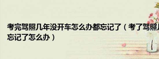 考完驾照几年没开车怎么办都忘记了（考了驾照几年没开车忘记了怎么办）