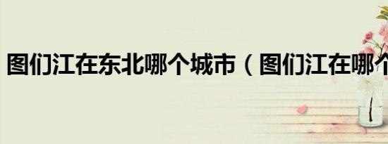 图们江在东北哪个城市（图们江在哪个城市）