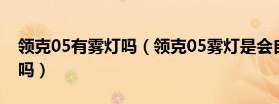 领克05有雾灯吗（领克05雾灯是会自动打开吗）